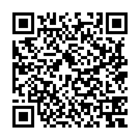 QR code for CO18384