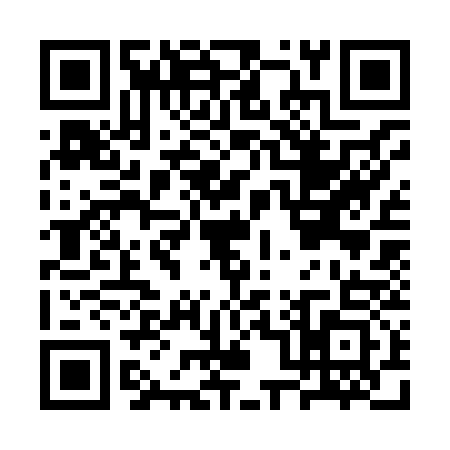 QR code for CP38333