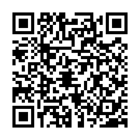 QR code for CP65381