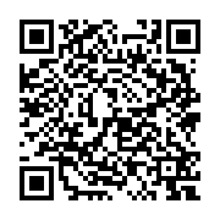 QR code for CP96223