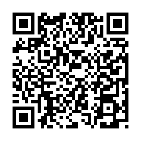 QR code for CQ54641