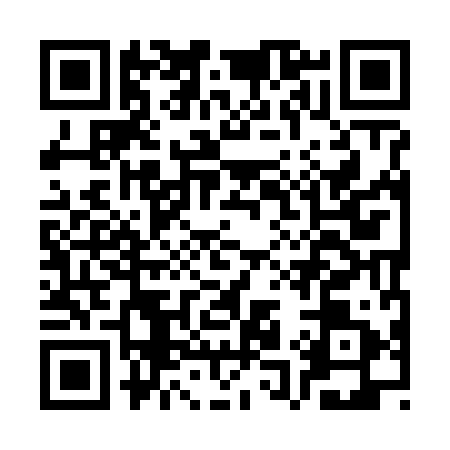 QR code for CQ96917