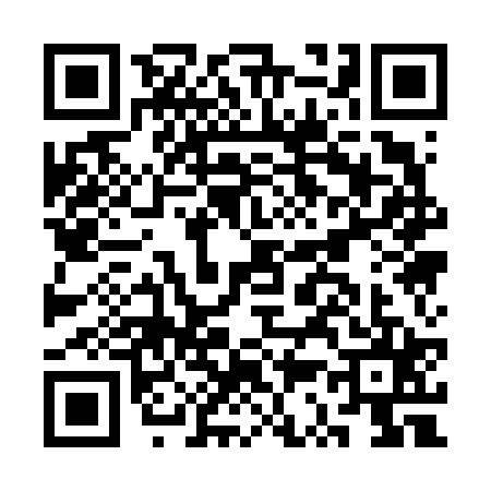 QR code for CS16253