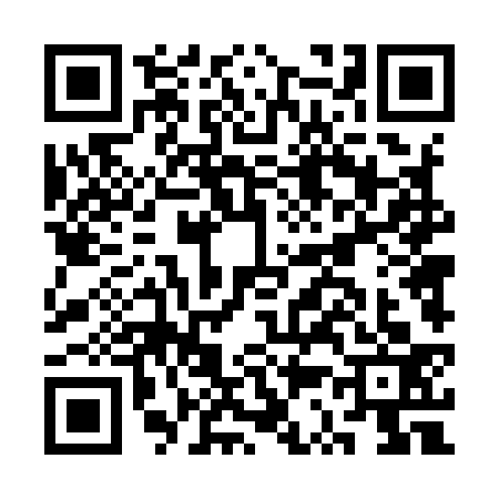 QR code for CS49338