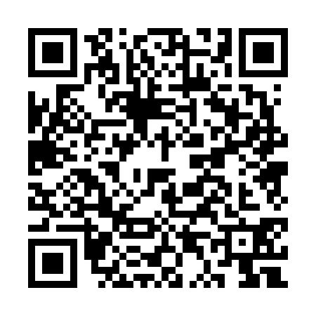 QR code for CT06301