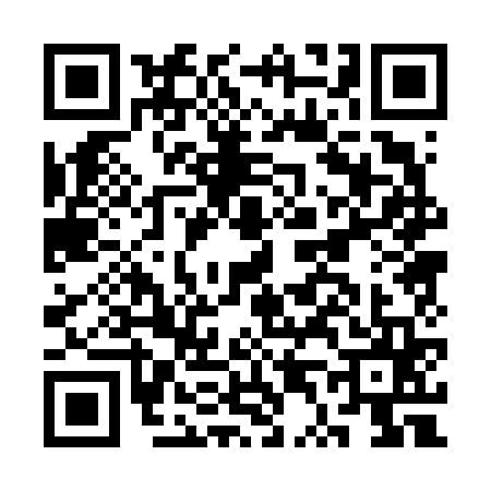 QR code for CT06653