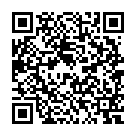 QR code for CT06933
