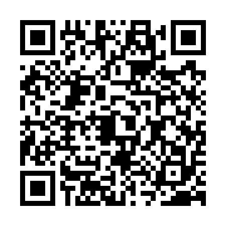 QR code for CT17121