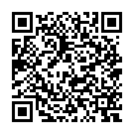QR code for CT17566