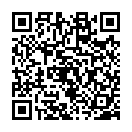QR code for CT17585