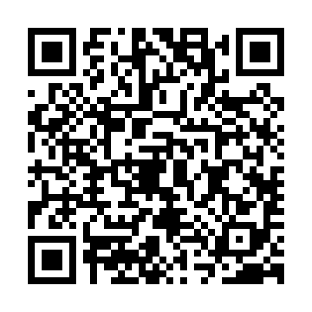 QR code for CT20981