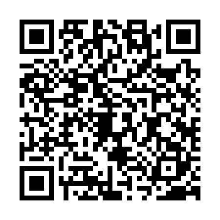 QR code for CT23225