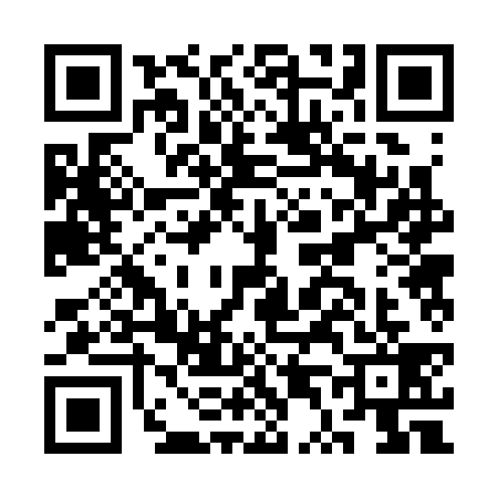 QR code for CT23394