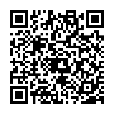 QR code for CT33111