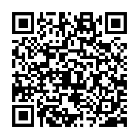 QR code for CT48917
