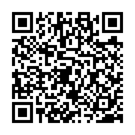QR code for CT66101