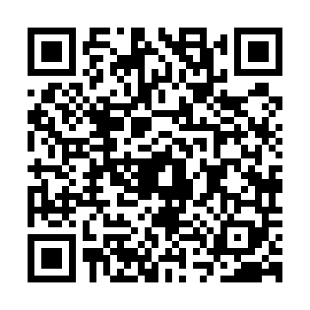 QR code for CT85493