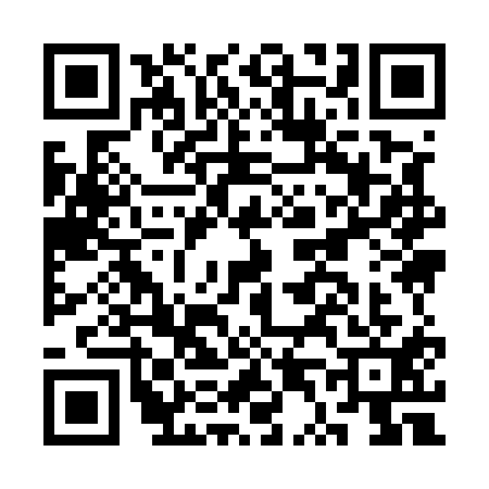 QR code for CT95111