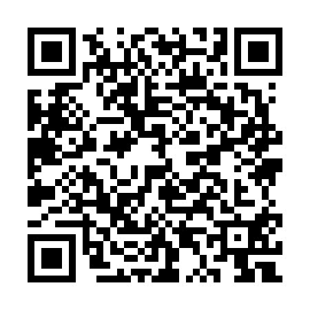 QR code for CT96101