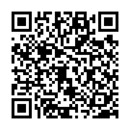 QR code for CT96287