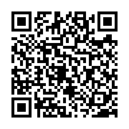 QR code for CT96295