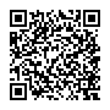 QR code for CV07497