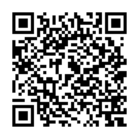 QR code for CV13593