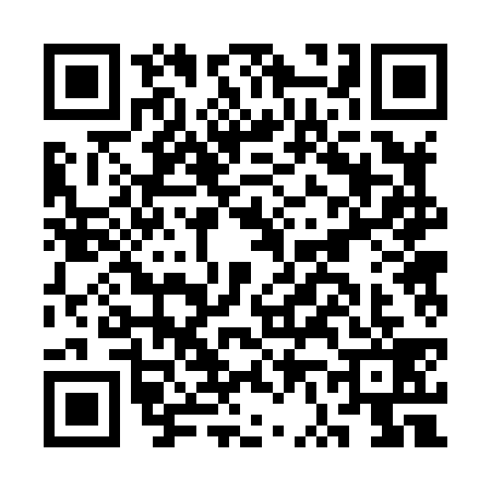 QR code for CV28393