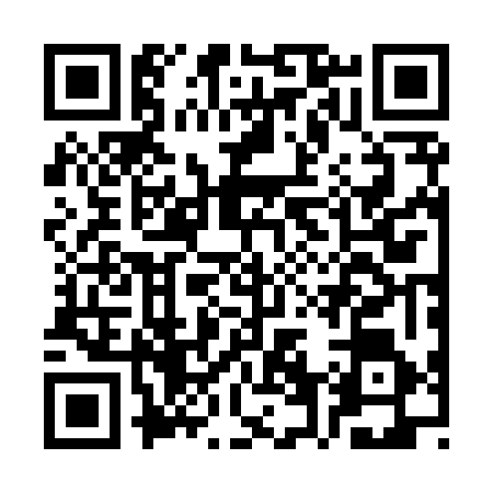 QR code for CV28666
