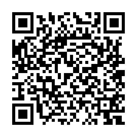 QR code for CV29507