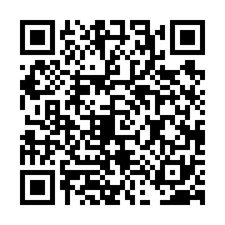 QR code for DD06713