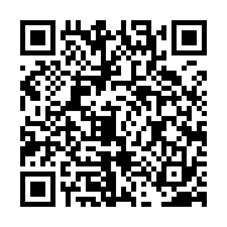 QR code for DD49336