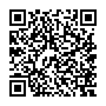 QR code for DD51491