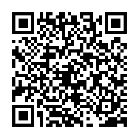 QR code for DD65238