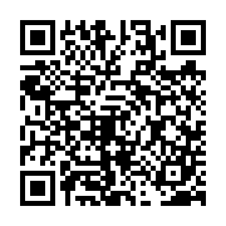 QR code for DD66479