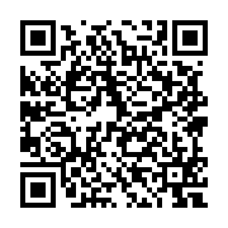 QR code for DD95953