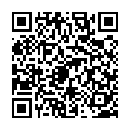 QR code for DE65687