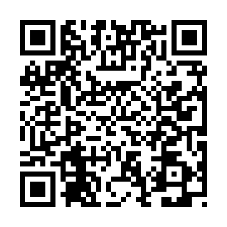 QR code for DG08523
