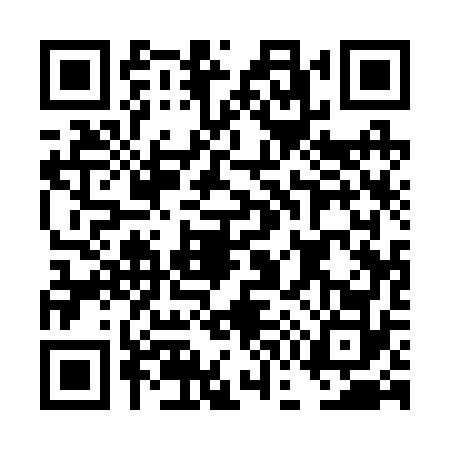 QR code for DG12729