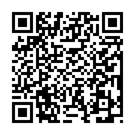 QR code for DG38398