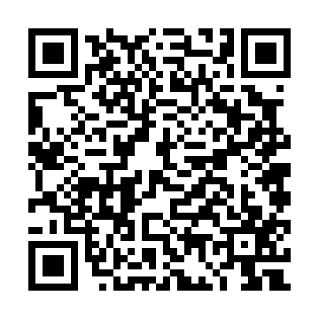 QR code for DG60173