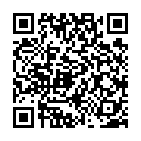 QR code for DG86380