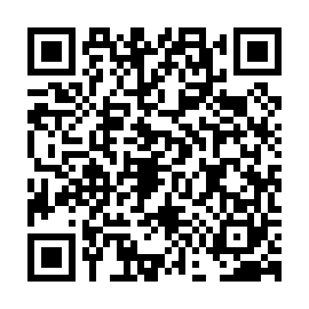 QR code for DG90607