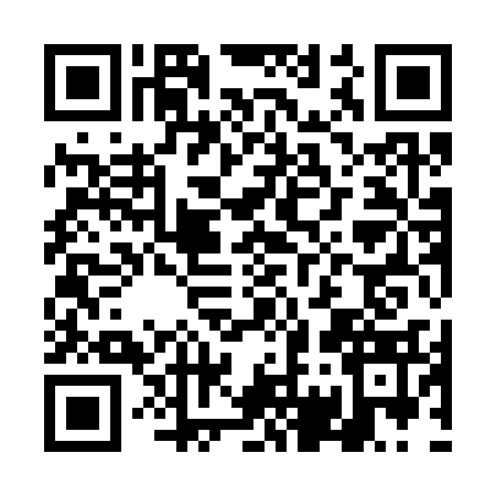 QR code for DG93339