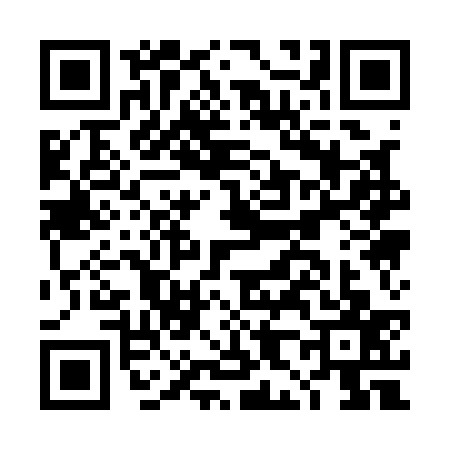 QR code for DH11378