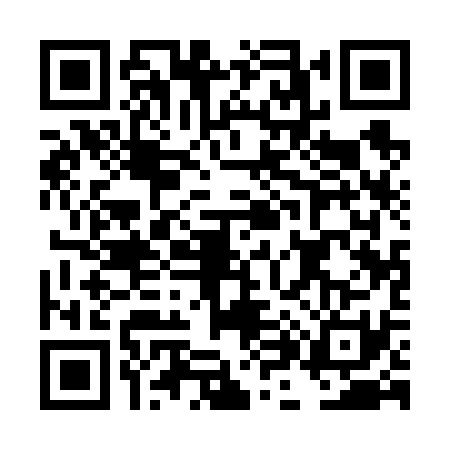 QR code for DH16317