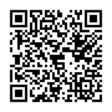 QR code for DH93233