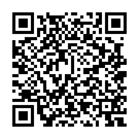QR code for DI50520