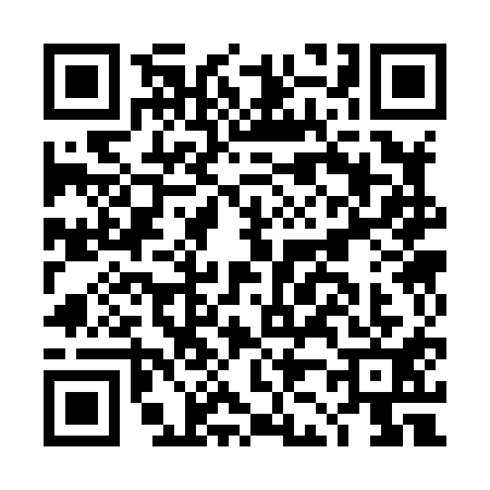 QR code for DJ38113