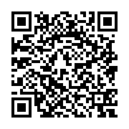 QR code for DJ85311